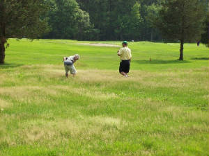 100_0100_jpg_w300h225.jpg